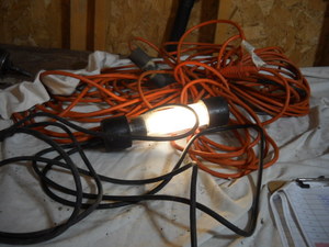 lot 43 image: Electrical Cords
