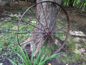 lot 295 image: VintageAntique Wagon Wheel