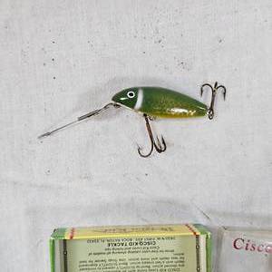 lot 87 image: Origianl Cisco Kid in GreenYellow Belly