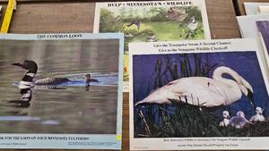 lot 274 image: Lot of 3 Political Donation Wildlife Advertising Posters