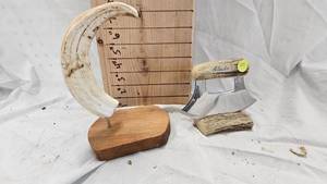 lot 251 image: Alaska Ulu Knife and Walrus Husk