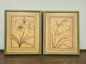 lot 148 image: Pair of Framed Floral Prints by Colleen Berry - Amaryllis and Lilium, 22x18 in
