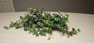 lot 168 image: Artificial Ivy Arrangement in Rectangular Wicker Basket