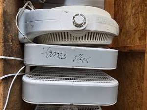 lot 277 image: Lot of Box Fans and Circulator Fan