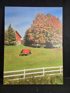 lot 34 image: Signed 2016 Canvas Print, Grazing Horse with Red Blanket, 40x30 Inch