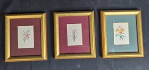 lot 145 image: Set of 3 Framed Botanical Prints with Gold Frames