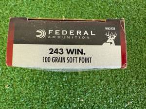 lot 12 image: Federal 243 WIN 100 gr Soft Point