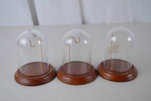 lot 234 image: Set of 3 Glass Display Domes with Wood Bases