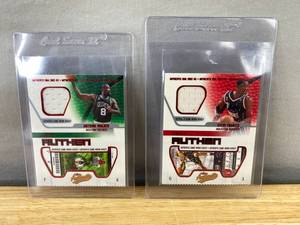 lot 503 image: Steve Francis and Antoine Walker 2002-03 NBA Game-Worn Jersey Cards J