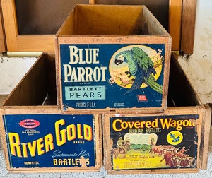 lot 69 image: Set of 3 Vintage Wooden Fruit Crates with Original Labels