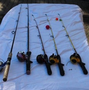 lot 102 image: Family Fishing Set  4 Rods & Reels (Daiwa, Ladyfish, Kids Combos)