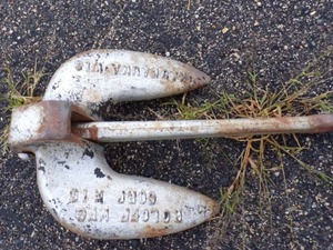 lot 113 image: River Anchor