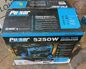 lot 40 image: Pulsar 52504250 -Watt Dual-Fuel Gasoline and Propane with Recoil Start Portable Home Power Generator
