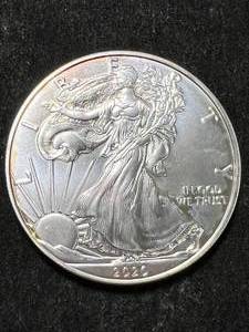 lot 49 image: 2020 AMERICAN SILVER EAGLE 1 TROY OZ .999 FINE SILVER