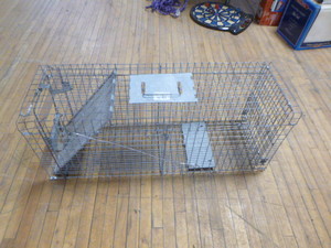 lot 54 image: Havahart Live Trap
