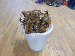 lot 55 image: Bucket of Small Animal Foot Traps