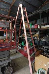 lot 257 image: Werner Fiberglass 10 Step Ladder