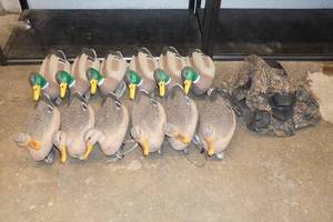 lot 2C image: G&H Duck Decoys