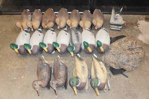 lot 2D image: Duck Decoys