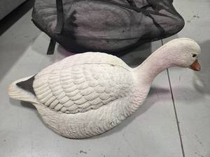 lot 134 image: 35 Snow Goose Shells