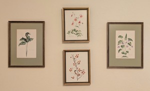 lot 62 image: MB - Set of 4 Framed Botanical Prints by JA Mize