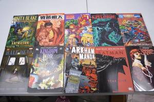 lot 188 image: Assorted Graphic Novel Comic Book Lot - DC, Marvel, Vertigo, More (10)
