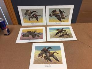 lot 113 image: (5) Les Kouba - Unframed Flight Speed Wildlife Prints