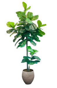 lot 22 image: Faux 8 Fig Tree in Oversized Ceramic Pot