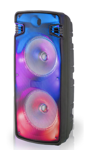 lot 166 image: Technical Pro 2x 6.5 Karaoke Speaker W Dj Lights