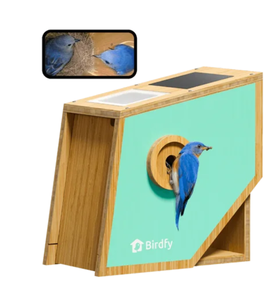 lot 4 image: Birdfy Nest Polygon - Smart Birdhouse with Camera