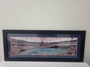 lot 2SN image: Minnesota Twins Metrodome Panoramic Framed Print 43x18