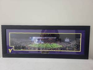 lot 9SN image: Framed Minnesota Vikings Panoramic Stadium Photo TCF Bank Stadium 2014-2016