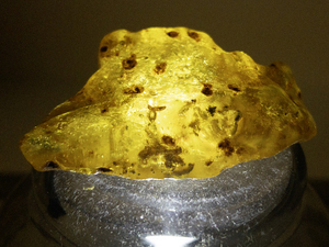 lot 33 image: 165ct Rough Amber Stone Specimen with Natural Inclusions