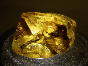 lot 37 image: 69ct Amber Specimen with Insect Inclusion