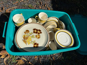 lot 143A image: Vintage Fruit-Themed Dinnerware Set - Plates and Cups
