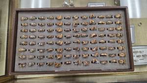 lot 64 image: Jewelry Store Ring Sample Tray - Many with Stones