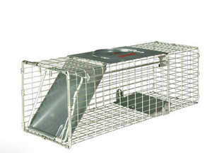lot 19 image: New - TL105 Medium Single Door Live Trap
