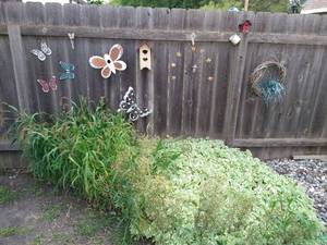 lot 175 image: Fence Decorations - Butterflies & Bird Houses