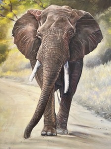 lot 35 image: Richard Goodkind Elephant Limited Edition Print 525 Framed 2010