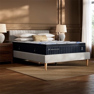 lot 11 image: Dreamcloud 13 Queen Mattress