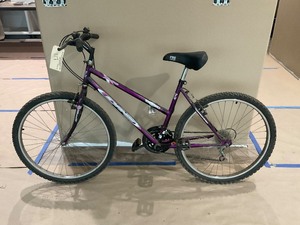 lot 117 image: 18 Speed Bike