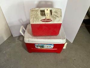 lot 52 image: 2 - Red Coolers