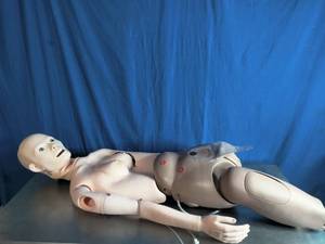 lot 12 image: Halloween Prop and or Medical Educational Prop