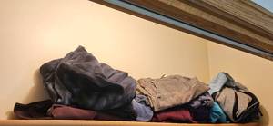 lot 156 image: Group of Mens Casual Clothing Including Shirts, Shorts and Sweatshirts - SZ 32 Waist and SZ L