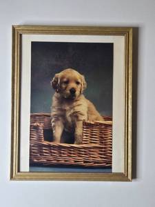 lot 223 image: Dog Lover Decor Bundle with Framed Puppy Art and Quote Magnets