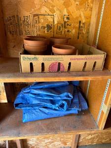 lot 333 image: Set of Small Terracotta Pots and Blue Utility Tarp