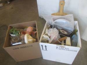 lot 161 image: (FS) 2 Unsorted Boxes of Decor...