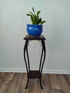 lot 47 image: Potted Snake Plant and Tall Plant Stand