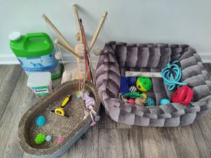 lot 140 image: Assorted Pet Toys, Treats, Litter, Etc.
