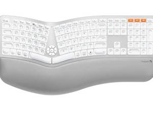 lot 132 image: ProtoArc Backlit Bluetooth Ergonomic Keyboard EK01 Plus with Wrist Cushion $99.99 Retail - Brand New